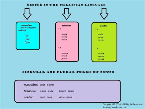 Lesson 1 Noun Gender Plural Form Of Nouns Pluriel Des Noms Le