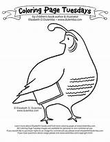 Coloring Manna Quail Getdrawings sketch template