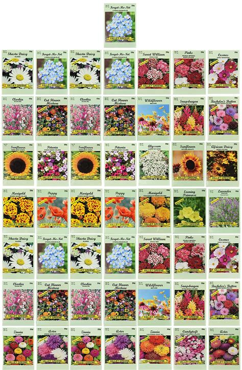 buy set   flower seed packets flower  bulk    varieties