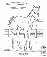 Color Number Coloring Horse Pages Kids Numbers Printable Colt Young Christmas Graders 1st Printables Colour Easy Sheets Activity Barnyard Worksheets sketch template