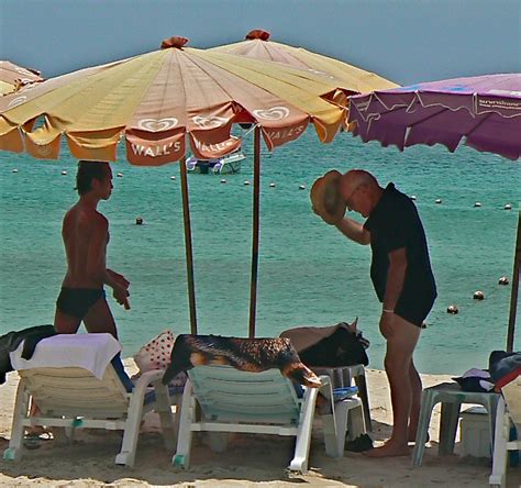 gay old men find renewed comfort and intimacy in thailand