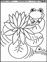 Water Coloringtop Lilies Suitable sketch template