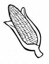 Corn Coloring Ear Drawing Pages Getdrawings Thanksgiving Getcolorings Printable sketch template