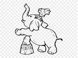 Circus Elephant Clipart Coloring Drawing Paintingvalley Pinclipart Drawings sketch template