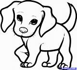 Puppy Beagle Coloring Draw Step Pets sketch template