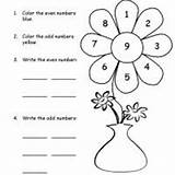 Math Worksheets Grade Printable Flower Odd Even Color Preschool Worksheet Numbers Addition First Kindergarten Print Printables Number Winter Worksheeto Counting sketch template