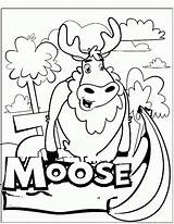 Moose Coloring Pages 123coloringpages Animal sketch template