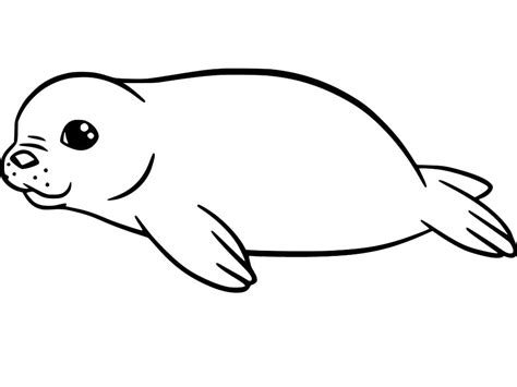 leopard seal coloring page  printable coloring pages  kids