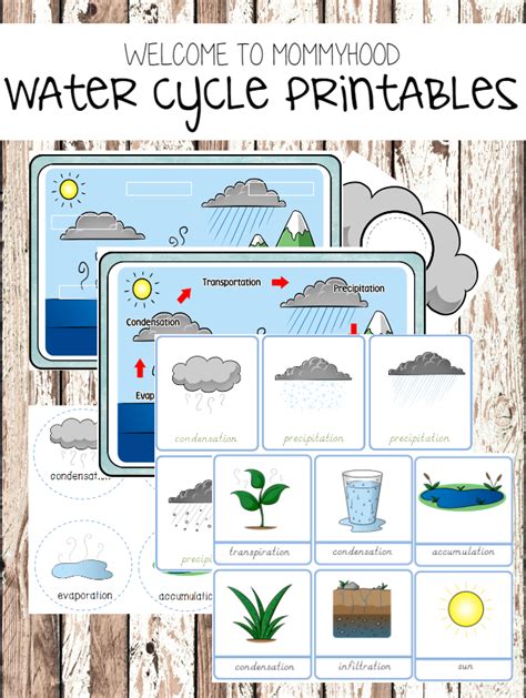 water cycle  printable