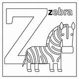 Zebra Lettera Coloritura Thehungryjpeg Bande Illustrazione sketch template