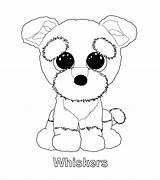 Beanie Coloring Pages Boo Ty Boos Babies Party Kids Baby Puppy Dog Printable Kleurplaten Colouring Sheets Cute Whiskers Rocks Kleurboeken sketch template