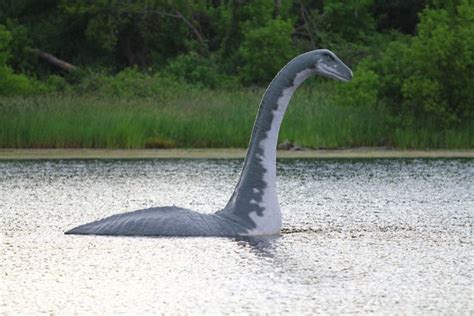 el monstruo real del lago ness encontrado en la antartida  fosil de  millones de anos