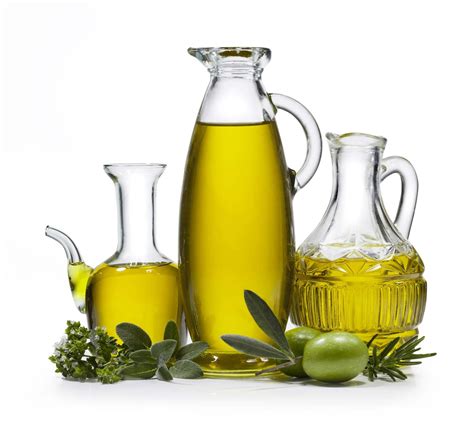 olive oil facts types production  britannica