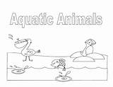 Animals Aquatic Coloring Book Slideshare sketch template