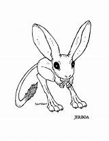 Coloring Jerboa Book sketch template