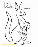 Kangaroo Tree Getdrawings Drawing Coloring sketch template