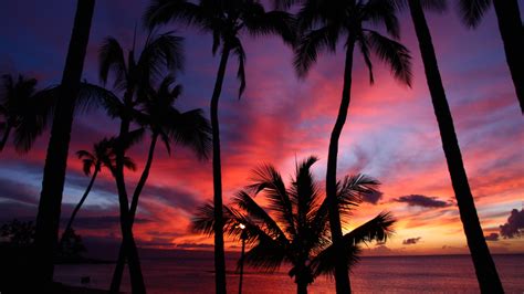 could hawaii become a same sex wedding destination npr