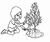 Coloring Clipart Tree Earth Pages Trees Plant Save Green Drawing Natural Go Clipartbest Resources Getcolorings Getdrawings Clipground sketch template