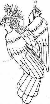 Hoatzin Sage Foxloft Color Warrior sketch template
