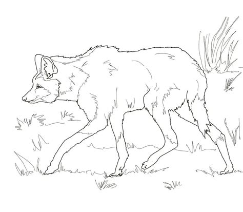 maned wolf coloring page  xxx hot girl