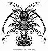 Lobster Spiny Overzeese Palinuro Krivoruchko Designlooter Patterned sketch template