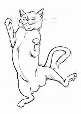 Cat Jumping Drawing Getdrawings sketch template