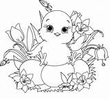 Easter Chick Coloring Pages Printable Print Color Garden sketch template
