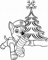 Patrol Paw Canina Patrulha Navidad Patrulla Topcoloringpages Popular sketch template