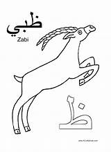 Arabic Arabe Zabi Acraftyarab Lettres Multicultural Lettre sketch template