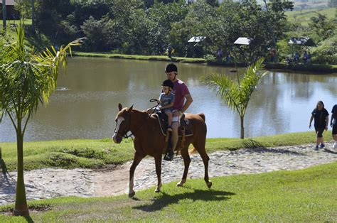 Passeio A Cavalo Terra Parque