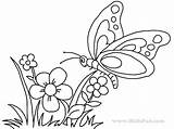 Farfalla Mariposas Butterfly Fiore Colorear Farfalle Stampare Semplici Mariposa Saberimagenes Volando Paisajes sketch template