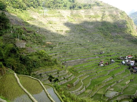 A Guide To The Banaue And Batad Rice Terraces Eco Escape Travel