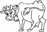 Kuh Ausmalbilder Malvorlagen Kinder Cows Tiere Maerchen sketch template