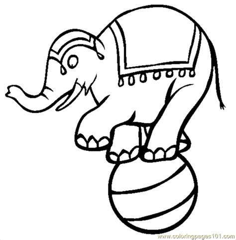 coloring pages circus elephant animals elephant  printable