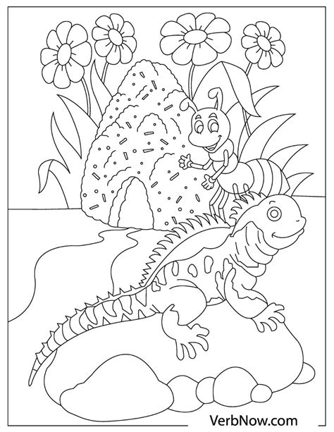 iguana animal coloring pages  coloring pages printable