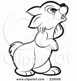 Rabbit Outline Curious Illustration Clipart Coloring Royalty Perera Lal Rf sketch template