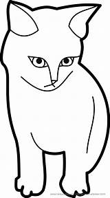 Katzen Katze Ausmalbild Malvorlage sketch template
