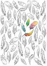 Feather Sheet Shelfie Watering sketch template