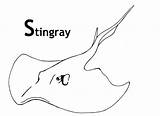 Stingray Stingrays Mantarrayas Printables sketch template