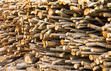 small pieces  wood stock image image  fire agriculture