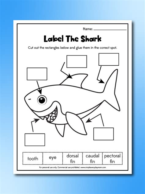 printable shark worksheets  kids