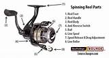 Spinning Reels Reverse Tristan Alkis Wikis sketch template