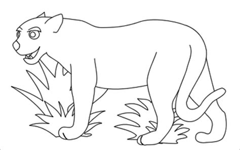 realistic jaguar coloring pages  adults coloringbay