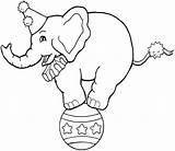 Circo Elefante Equilibrista Infantil Cirque Preschool Elefantes Everfreecoloring Coloriageetdessins Ballon Qdb sketch template