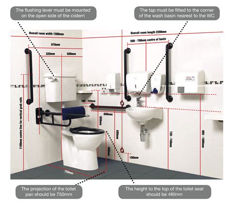 how disabling disabled toilets really are dolphin solutions