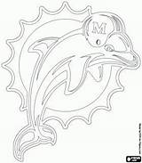 Dolphins Hurricanes Team sketch template