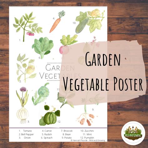 garden vegetable poster hand painted educational decor digital