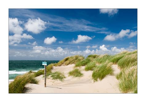 duenen von renesse foto bild europe benelux netherlands bilder auf fotocommunity