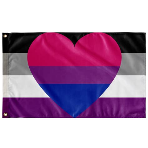 Asexual Biromantic Pride Wall Flag Single Reverse Etsy