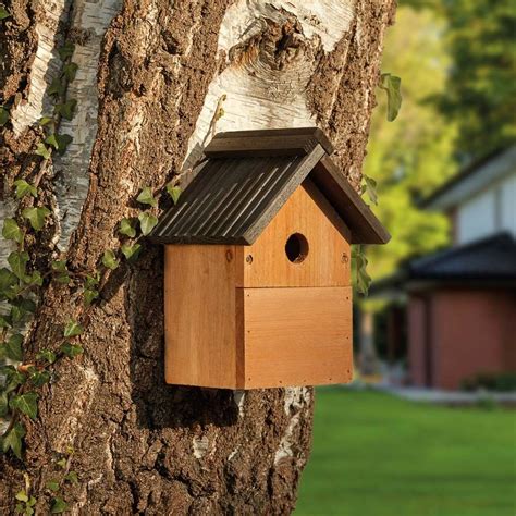 wild bird nesting box roosting house  multi purpose easy clean happy beaks